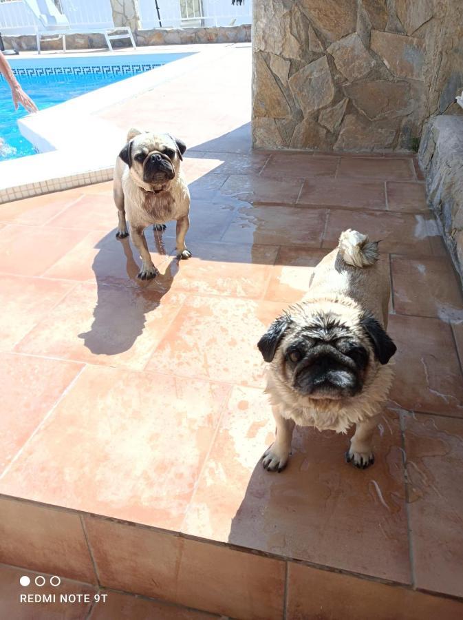 Mobilhome Costa Del Sol Mutxamel Dış mekan fotoğraf